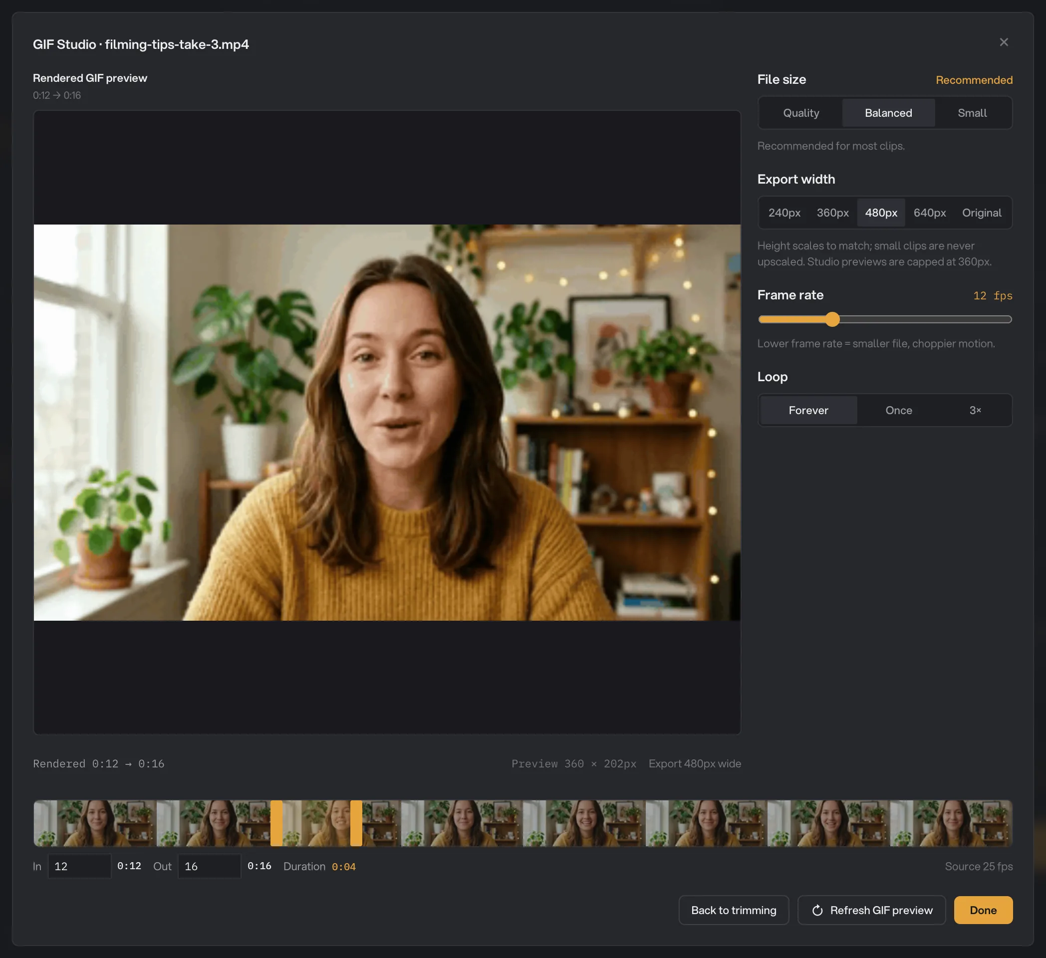 The GIF Studio on take 3, showing the rendered GIF of 0:12 to 0:16
